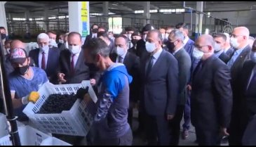 Bursa'da hasat etkinliği düzenlendi