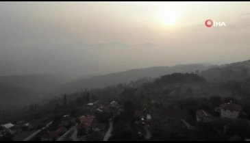 Koronavirüs Bursa'daki bu köye uğramadı