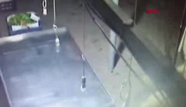 3 köpek, kedinin ayaklarını koparıp boğdu