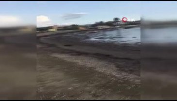 Sığacık'ta deprem sonrası sular çekildi -2