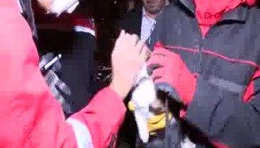 İzmir'de enkazda K-9 köpeği kediyi kurtardı