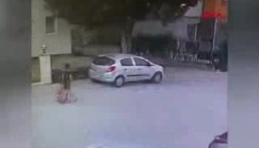 Bursa'da bavula koyularak çalınan köpeğini dedektif gibi iz sürerek buldu