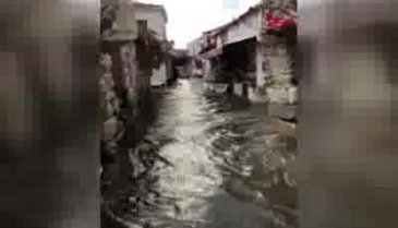 Tsunamiyi çekerken suda sürüklenen babaannesini görmüştü!