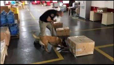 Yurt dışına kargo ile uyuşturucu hap sevkiyatı polise takıldı