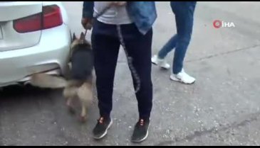 Bursa'da haberin ardından köpeği sahibine teslim etti