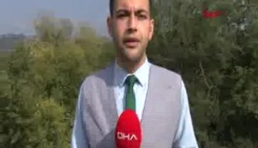 Bursa'da Nilüfer Çayı'nın yatağına katı atık ve moloz döktüler