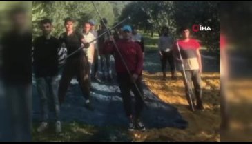 Bursa İznik'te zeytin işçilerinden Ata'ya saygı