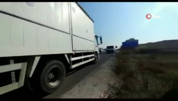 Bursa, İzmir'deki can dostları da unutmadı