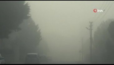 Bursa'da yoğun sis hayatı felç etti