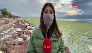 İzmir denizin rengi yeşile döndü