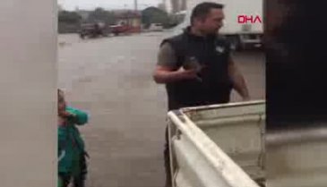 Bursa'da dükkanına giren baykuşu besleyip doğaya saldı