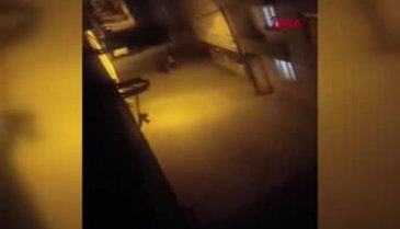 Bursa'da kısıtlamayı ihlal eden gençler polisten böyle kaçtı