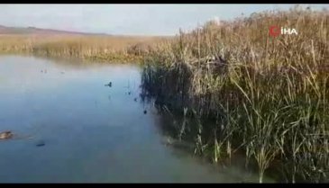 Bursa'da kaçak avcılar jandarmaya yakalandı