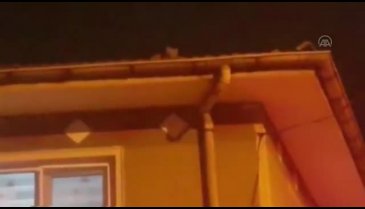 Bursa'da itfaiye ekiplerinin kedi kurtarma operasyonu sonuçsuz kaldı