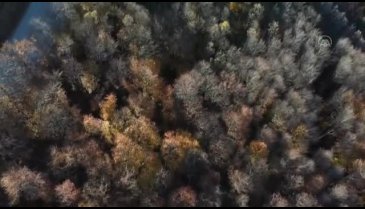 Bursa Uludağ'dan sonbahar manzaraları