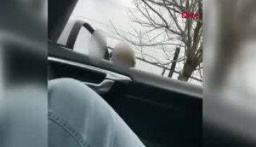 İstanbul'da iğrenç pazarlık