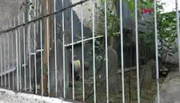 Bursa'da, Hasırcıoğlu Maksut Efendi ve ailesinin kabri bina ve cami arasında kaldı