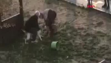 Pitbull dehşeti kameraya yansıdı