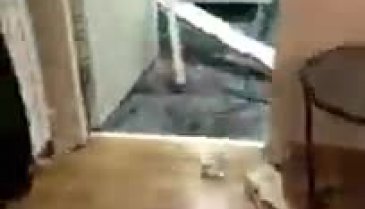 Sermiyan Midyat ile Sevcan Yaşar arasında neler yaşandı? Görüntüler ortaya çıktı