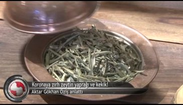 Koronaya zırh zeytin yaprağı ve kekik! (ÖZEL HABER)