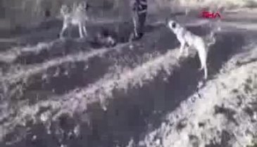 Biri işkence yaptı, diğeri kameraya aldı
