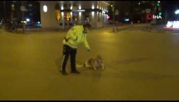 Bursa'da polis memuruyla köpeğin gülümseten görüntüleri