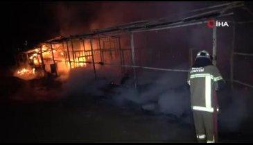 Bursa'da at çiftliğinde yangın: 10 hayvan telef oldu