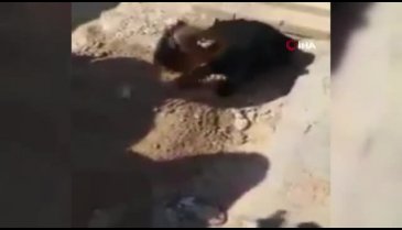 İç savaşla boğuşan Yemen'deki çocuğun yürek yakan feryadı!
