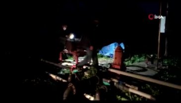 Bursa'da tarla fareleri yine iş başında