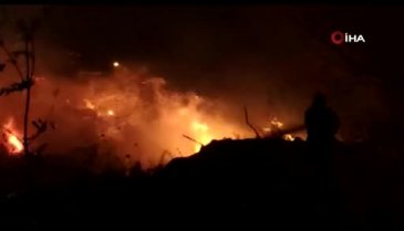 Bursa'da sazlık alanda yangın