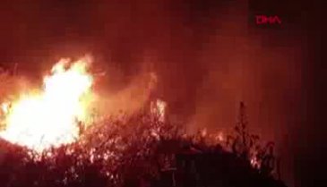 Bursa'da sazlık alanda yangın - 2