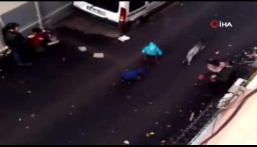 Bursa'da kediler kavga etti ortada kalan çocuk ne yapacağını şaşırdı