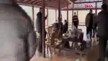 Belediyenin orman evindeki kutlamaya ceza yağdı