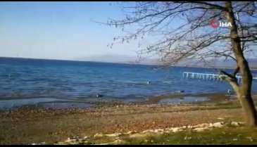 Bursa'da İznik Gölü'nün tadını onlar çıkardı