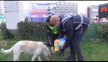 Bursa'da polisler 'sokak hayvanlarını' elleriyle besledi