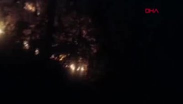 Doğu Karadeniz'de, 4 ilde 23 noktada yangın