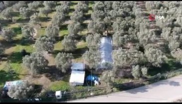 Bursa'daki lahit tarlası işte böyle korunuyor