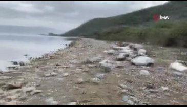 Bursa'da göl çekilince efsanedeki kayıp şehir ortaya çıkmaya başladı