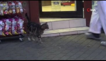Bursa'da yürekleri ısıtan görüntü