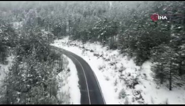 Bursa'da doğa harikası yaylada çamların güzelliği drone ile havadan görüntülendi