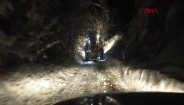 Bursa'da yoğun kar yağışının ardından 2 ağıl çöktü, 9 büyükbaş telef oldu