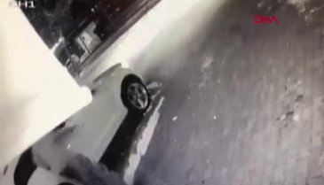 Galerideki 2 lüks otomobil ile çelik kasayı çaldılar
