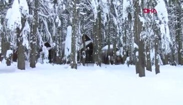 Bursa Uludağ'daki orman köşkleri, sömestir tatilinde tamamen doldu
