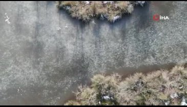 Bursa Karacabey longoz ormanları buz tuttu
