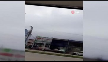 Bursa'da lodos ağaçları kökünden söktü