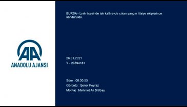 Bursa İznik'te yangın