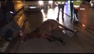 Bursa İnegöl'de dehşet anları! Başıboş ata kamyonet çarptı