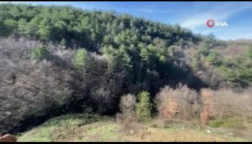 Bursa'da koyun otlatan çobandan gizemli keşif