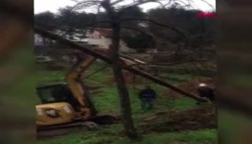 Bursa'da ağaç elektrik direkleri değiştirildi