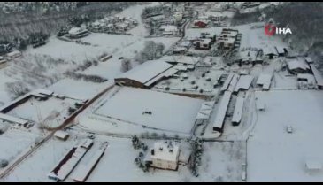 Bursa'da kendileri küçük, yaptıkları şov büyük